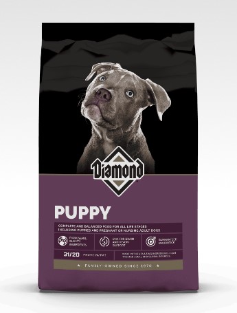 Diamond Puppy 31/20
