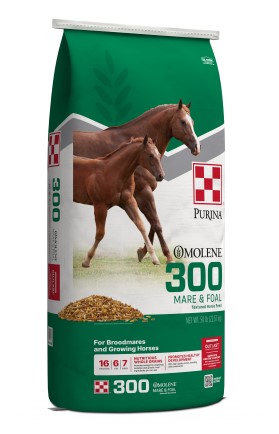 Purina Omolene 300 Mare & Foal